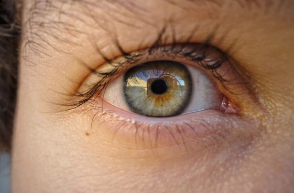 A close-up image of a person’s hazel eye, highlighting the pupil and iris detail to illustrate a healthy eye or the beginning of a glaucoma check.